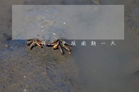 个税0申报逾期一天 个税0申报逾期一天
