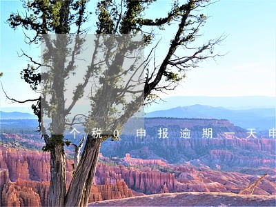 个税0申报逾期一天申报 个税0申报逾期一天申报