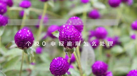 个税0申报逾期怎么处理 个税0申报逾期怎么处理