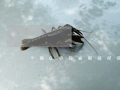 个税0申报逾期情况说明 个税0申报逾期情况说明