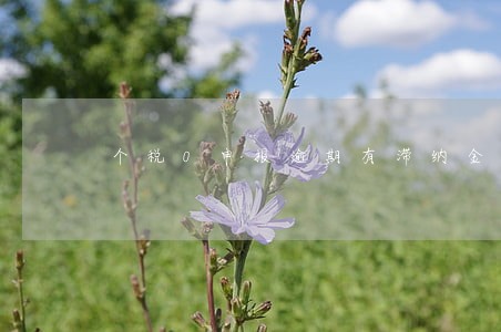 个税0申报逾期有滞纳金吗 个税0申报逾期有滞纳金吗