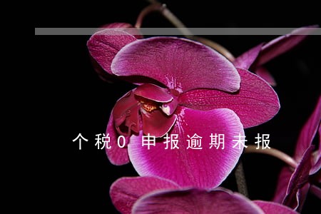个税0申报逾期未报 个税0申报逾期未报
