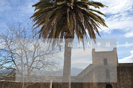 个税0申报逾期申报了怎么办 个税0申报逾期申报了怎么办