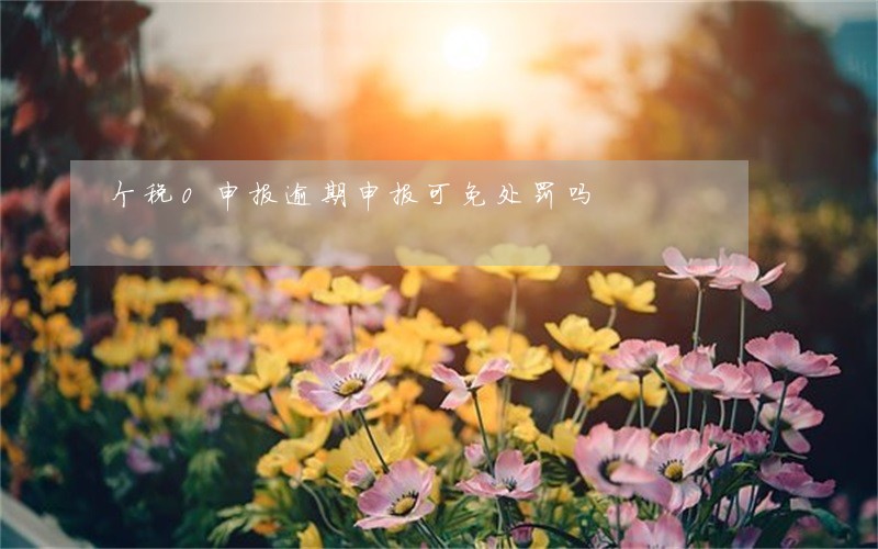 个税0申报逾期申报可免处罚吗 个税0申报逾期申报可免处罚吗