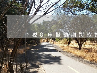 个税0申报逾期罚款如何缴纳 个税0申报逾期罚款如何缴纳