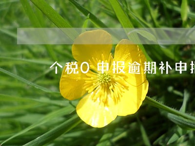 个税0申报逾期补申报情况说明 个税0申报逾期补申报情况说明