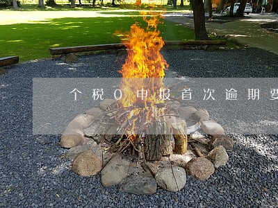 个税0申报首次逾期要罚款吗 个税0申报首次逾期要罚款吗