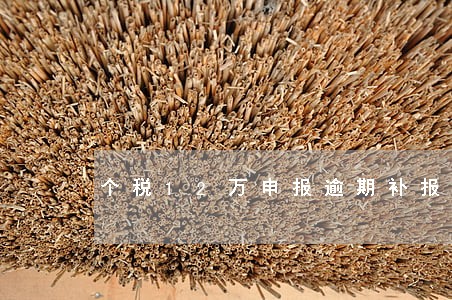 个税12万申报逾期补报 个税12万申报逾期补报