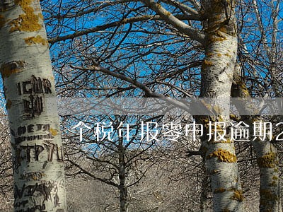 个税年报零申报逾期20天怎么办 个税年报零申报逾期20天怎么办