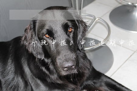 个税申报0申报逾期申报 个税申报0申报逾期申报