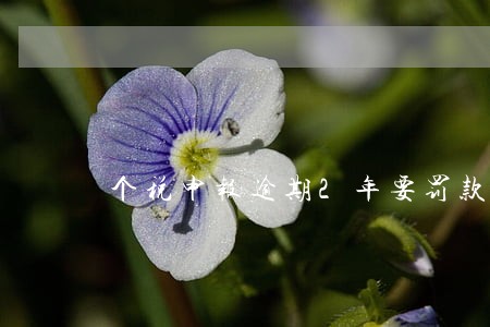 个税申报逾期2年要罚款吗