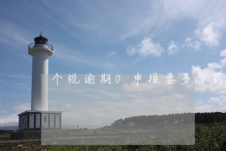 个税逾期0申报要多少罚款 个税逾期0申报要多少罚款