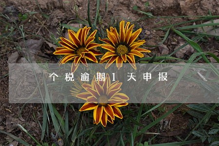 个税逾期1天申报 个税逾期1天申报