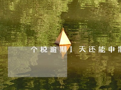 个税逾期1天还能申报