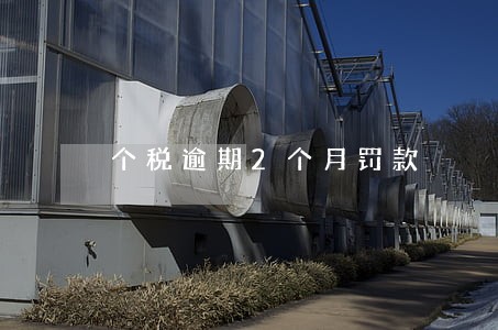 个税逾期2个月罚款 个税逾期2个月罚款