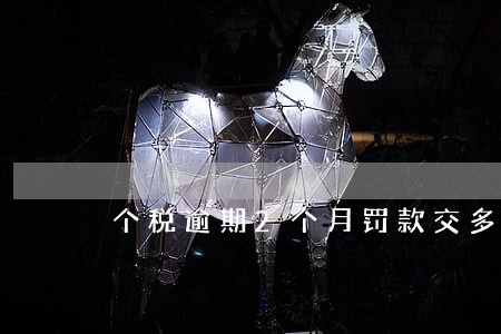 个税逾期2个月罚款交多少 个税逾期2个月罚款交多少