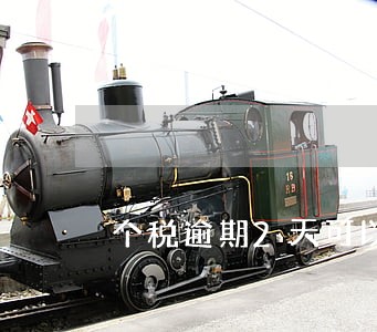个税逾期2天可以补申报吗 个税逾期2天可以补申报吗