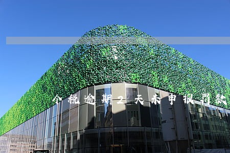 个税逾期2天未申报罚款多少