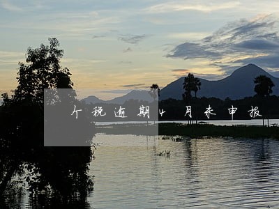 个税逾期4月未申报 个税逾期4月未申报