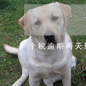 个税逾期两天影响信用分吗 个税逾期两天影响信用分吗