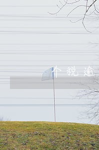 个税逾期了3天申报处罚标准 个税逾期了3天申报处罚标准