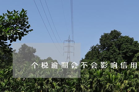个税逾期会不会影响信用等级