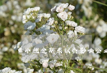 个税逾期未报会影响企业信用吗 个税逾期未报会影响企业信用吗
