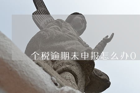 个税逾期未申报怎么办0申报 个税逾期未申报怎么办0申报
