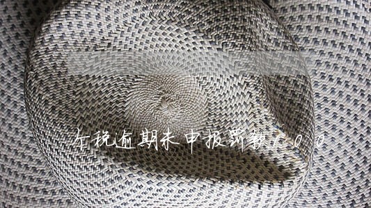 个税逾期未申报罚款100 个税逾期未申报罚款100