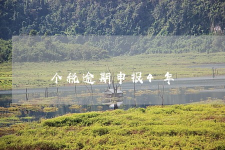 个税逾期申报4年