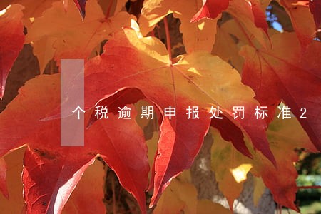 个税逾期申报处罚标准2019 个税逾期申报处罚标准2019