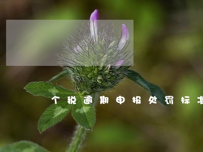 个税逾期申报处罚标准2020 个税逾期申报处罚标准2020