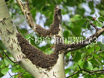 个税逾期申报罚款3000 个税逾期申报罚款3000
