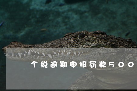 个税逾期申报罚款500 个税逾期申报罚款500