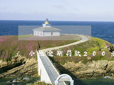 个税逾期罚款200元怎么办 个税逾期罚款200元怎么办