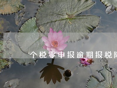 个税零申报逾期报税降级6 个税零申报逾期报税降级6