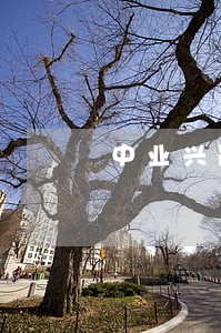 中业兴融逾期了吗 中业兴融逾期了吗
