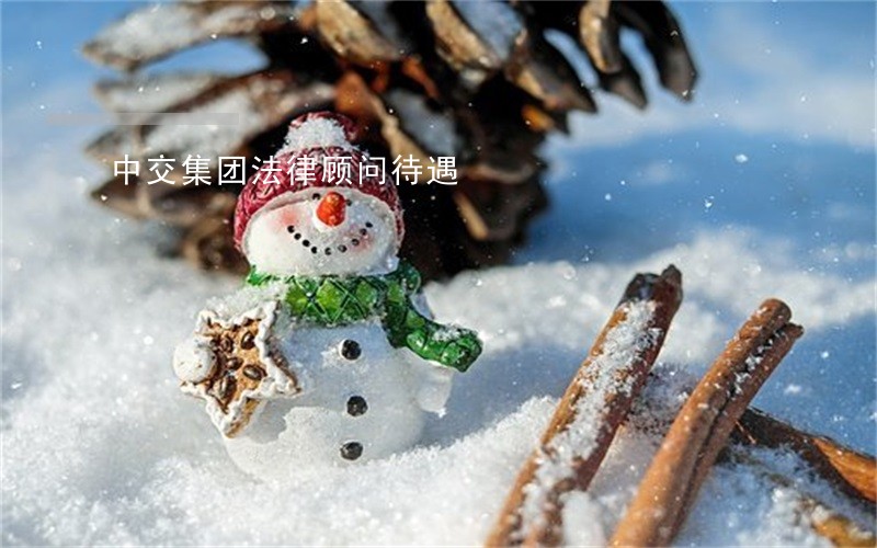 中交集团法律顾问待遇 中交集团法律顾问待遇