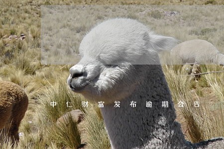 中仁财富发布逾期公告