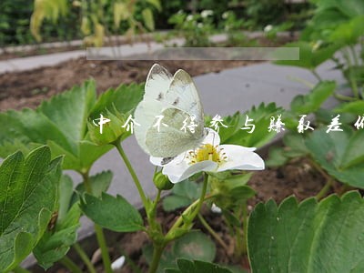 中介不得参与赚取差价法规