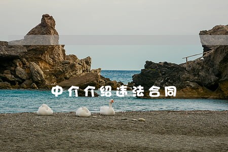 中介介绍违法合同 中介介绍违法合同