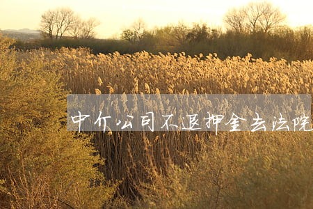 中介公司不退押金去法院起诉 中介公司不退押金去法院起诉