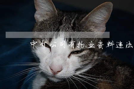 中介公司有物业资料违法吗