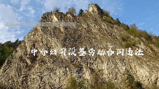 中介公司没签劳动合同违法 中介公司没签劳动合同违法