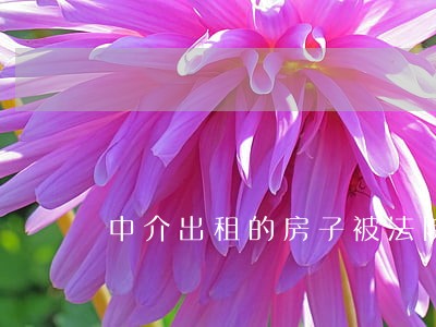 中介出租的房子被法院封了 中介出租的房子被法院封了