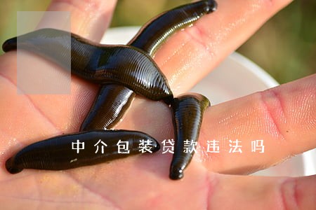 中介包装贷款违法吗 中介包装贷款违法吗