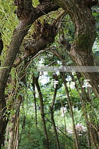 中介压工资违法吗 中介压工资违法吗
