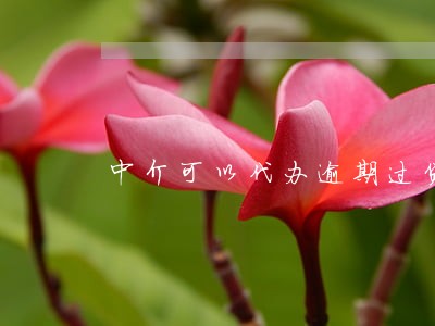 中介可以代办逾期过贷款吗