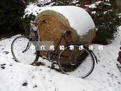 中介吃税费违法吗 中介吃税费违法吗