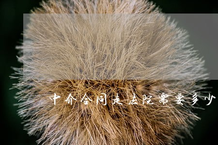 中介合同走法院需要多少钱 中介合同走法院需要多少钱